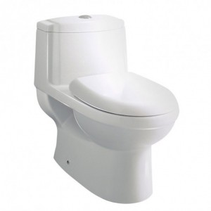 One Piece Dual Flush Toilet TB222