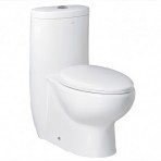 One Piece Dual Flush Toilet TB309