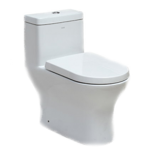 One Piece Dual Flush Toilet TB353