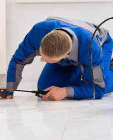 Kamloops pest control services